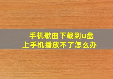 手机歌曲下载到u盘上手机播放不了怎么办