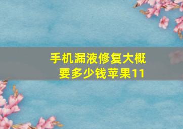 手机漏液修复大概要多少钱苹果11