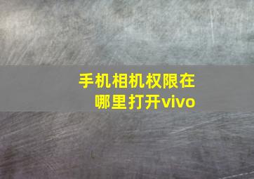 手机相机权限在哪里打开vivo