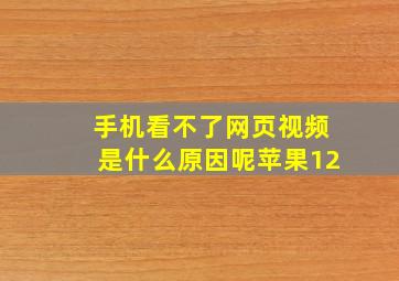 手机看不了网页视频是什么原因呢苹果12