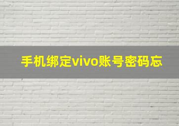 手机绑定vivo账号密码忘