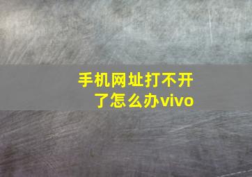 手机网址打不开了怎么办vivo