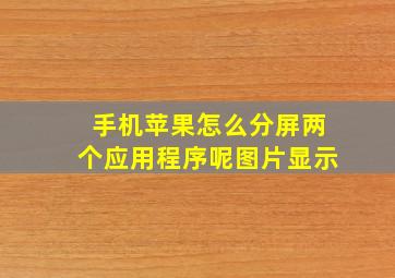 手机苹果怎么分屏两个应用程序呢图片显示