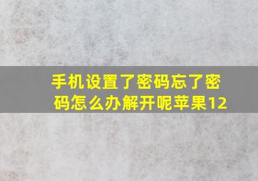 手机设置了密码忘了密码怎么办解开呢苹果12