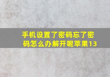 手机设置了密码忘了密码怎么办解开呢苹果13