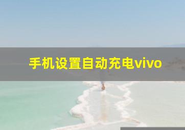 手机设置自动充电vivo