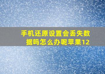 手机还原设置会丢失数据吗怎么办呢苹果12