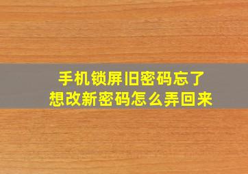 手机锁屏旧密码忘了想改新密码怎么弄回来