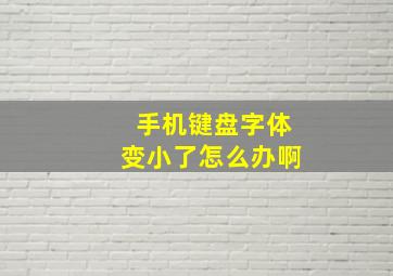 手机键盘字体变小了怎么办啊