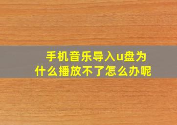 手机音乐导入u盘为什么播放不了怎么办呢