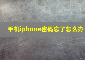 手机iphone密码忘了怎么办