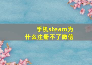 手机steam为什么注册不了微信