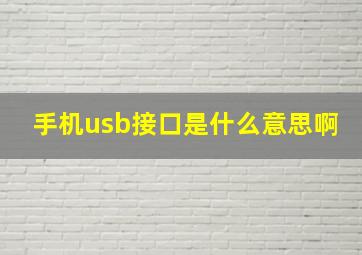 手机usb接口是什么意思啊