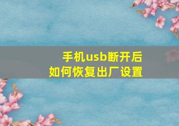 手机usb断开后如何恢复出厂设置