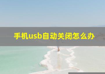 手机usb自动关闭怎么办