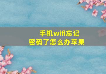 手机wifi忘记密码了怎么办苹果