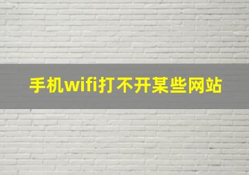 手机wifi打不开某些网站