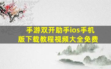 手游双开助手ios手机版下载教程视频大全免费