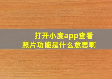 打开小度app查看照片功能是什么意思啊