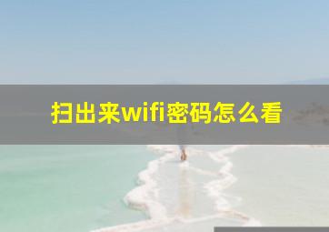 扫出来wifi密码怎么看