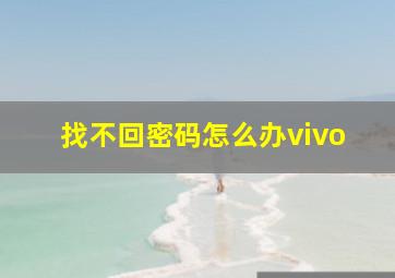 找不回密码怎么办vivo