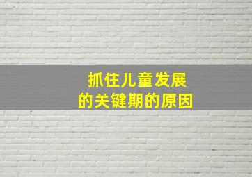 抓住儿童发展的关键期的原因