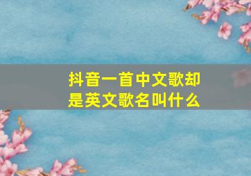 抖音一首中文歌却是英文歌名叫什么