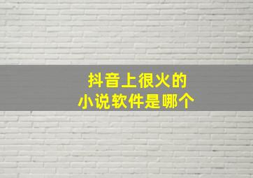 抖音上很火的小说软件是哪个