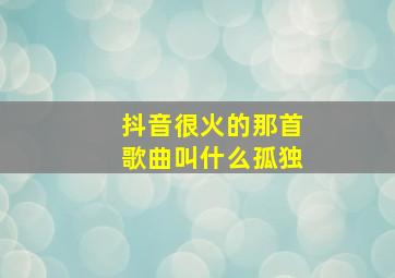 抖音很火的那首歌曲叫什么孤独