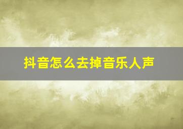 抖音怎么去掉音乐人声