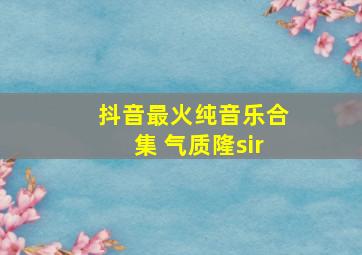 抖音最火纯音乐合集 气质隆sir