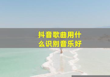 抖音歌曲用什么识别音乐好