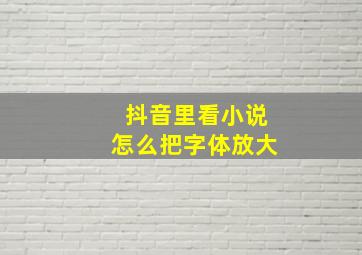 抖音里看小说怎么把字体放大