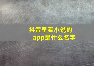 抖音里看小说的app是什么名字