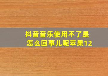 抖音音乐使用不了是怎么回事儿呢苹果12