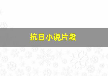 抗日小说片段