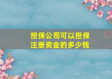 担保公司可以担保注册资金的多少钱