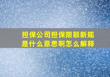 担保公司担保限额新规是什么意思啊怎么解释