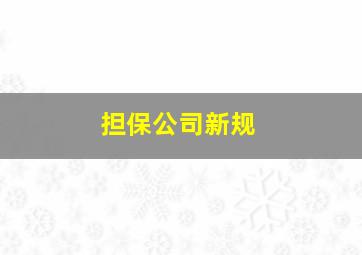 担保公司新规