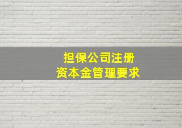 担保公司注册资本金管理要求