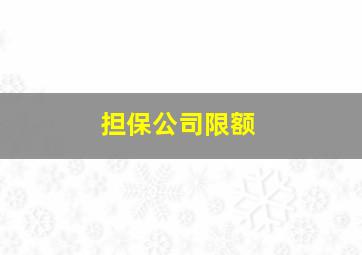 担保公司限额