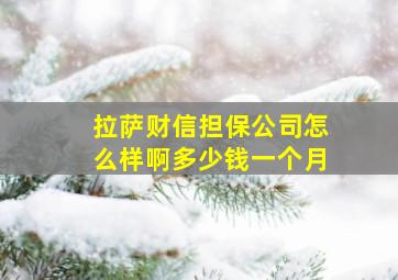 拉萨财信担保公司怎么样啊多少钱一个月