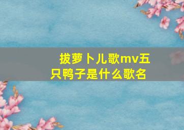 拔萝卜儿歌mv五只鸭子是什么歌名