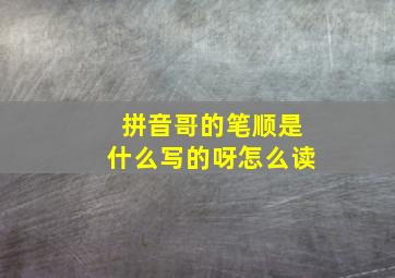 拼音哥的笔顺是什么写的呀怎么读