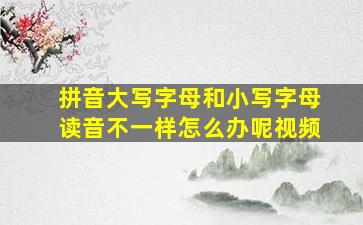 拼音大写字母和小写字母读音不一样怎么办呢视频