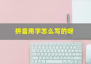 拼音用字怎么写的呀