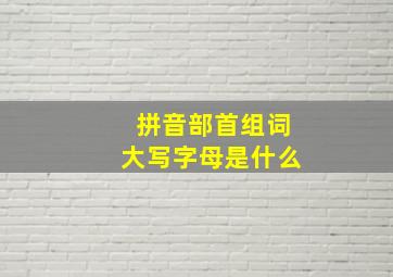 拼音部首组词大写字母是什么