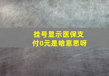 挂号显示医保支付0元是啥意思呀