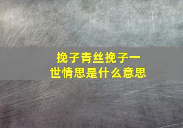 挽子青丝挽子一世情思是什么意思