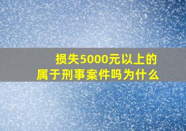 损失5000元以上的属于刑事案件吗为什么